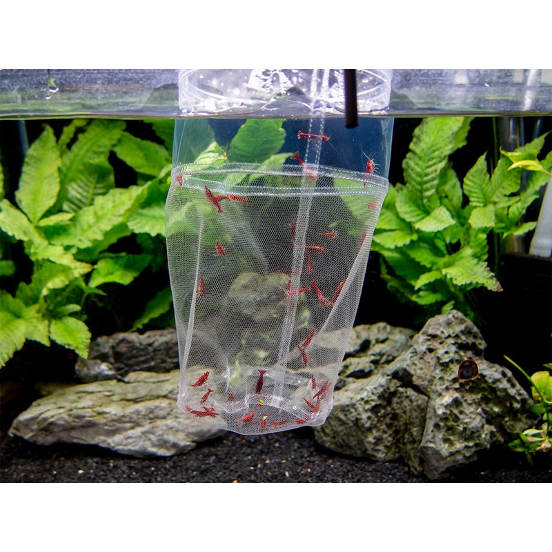 Deluxe Handmade In-Tank Breeder Net