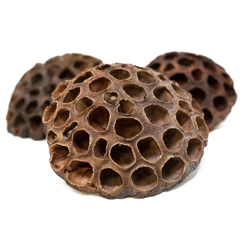 Lotus Pods
