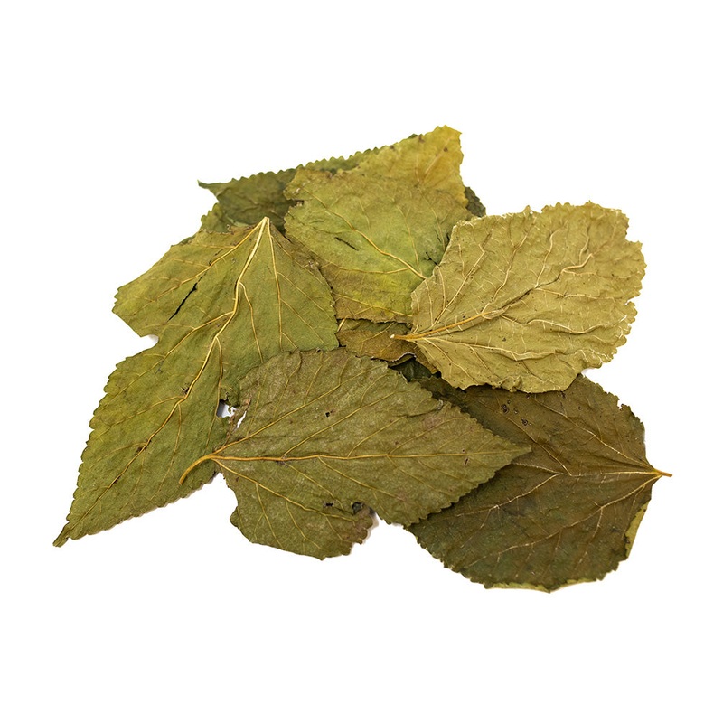 Mulberry Leaves