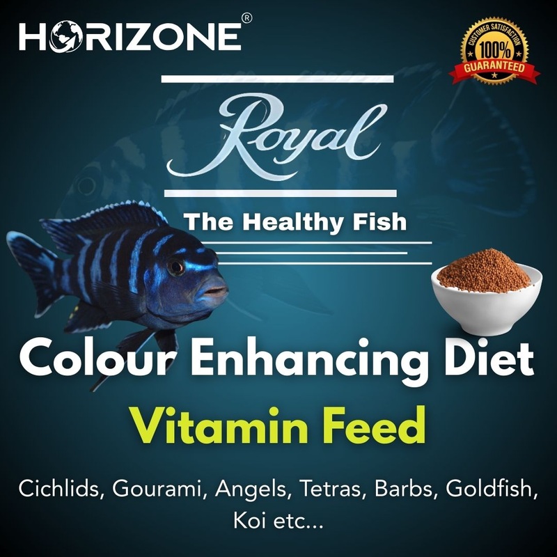 Royal Colour Enhancer Vitamin Cichlid Food | 50g