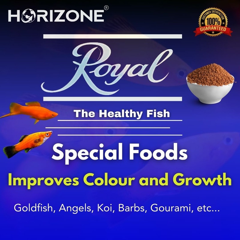 Royal Special Food | 22g