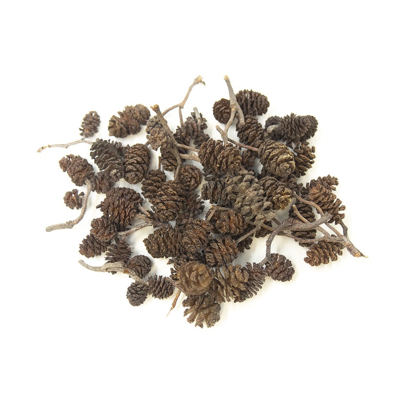 Alder Cones (1/2 - 1 inch)