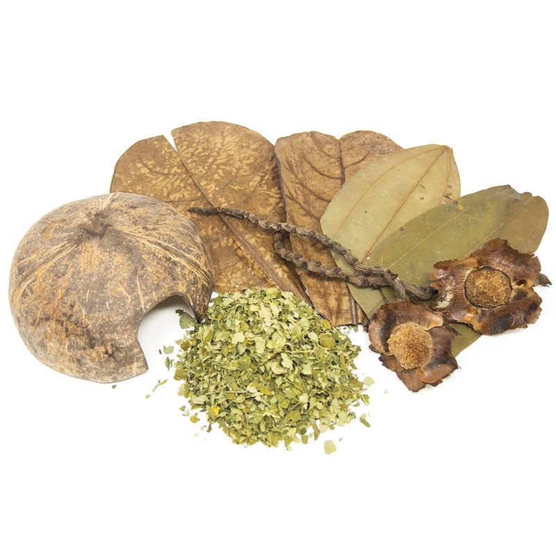 Botanical Breeder Combo Pack (Vampire Crabs)