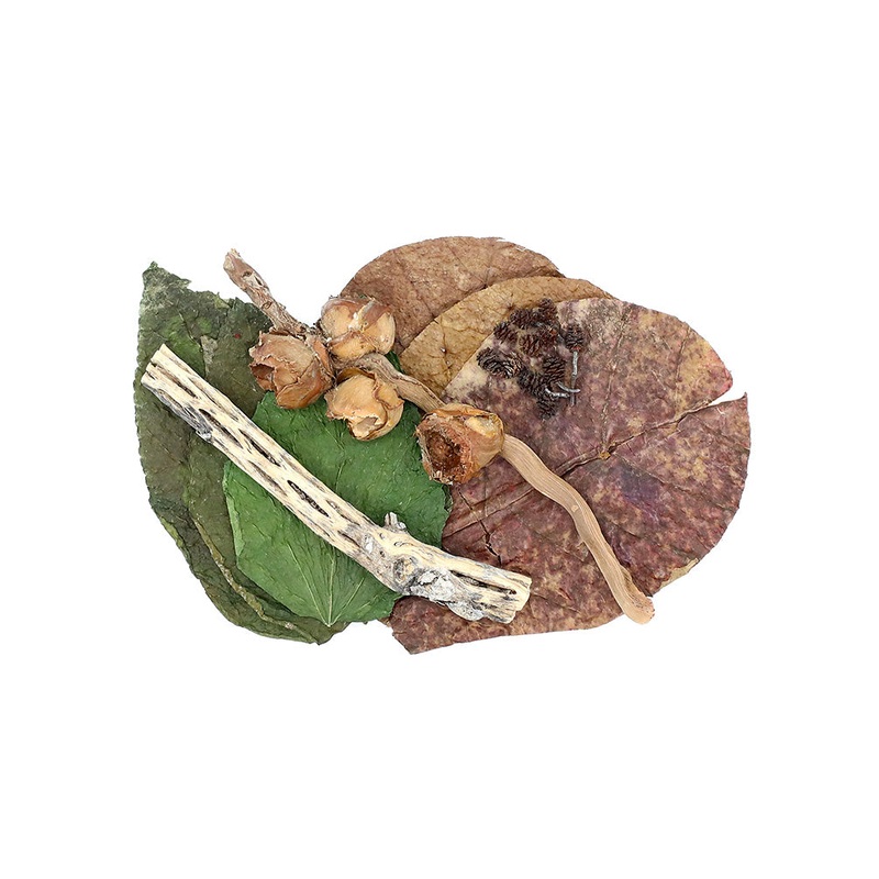 Botanical Combo Pack