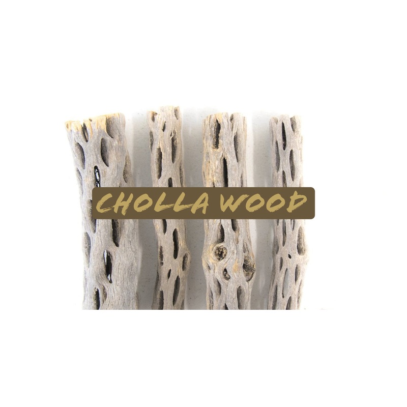 Buckhorn Cholla Wood