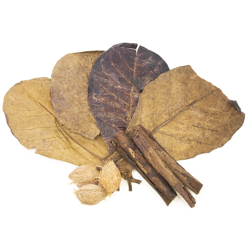 Catappa Tree Botanical Combo Pack