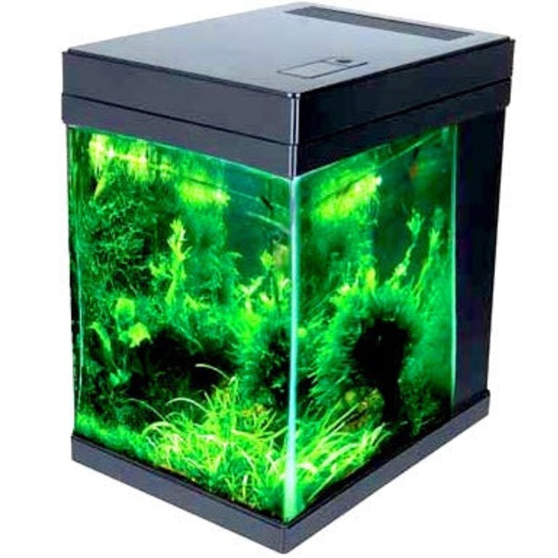 JBJ Aquarium - 3 Gallon Cubey Desktop Aquarium - Black