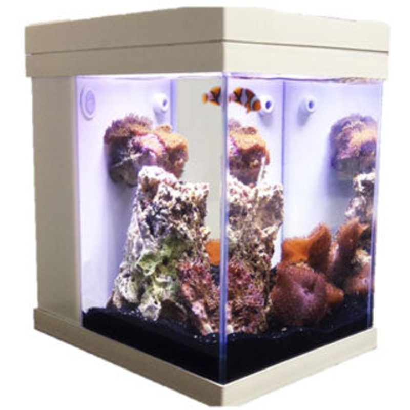 JBJ Aquarium - 3 Gallon Cubey Desktop Aquarium - White