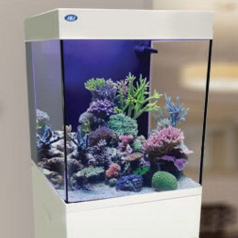 JBJ Aquarium - 15 GALLON WHITE CUBEY MIDSIZE ALL IN ONE TANK