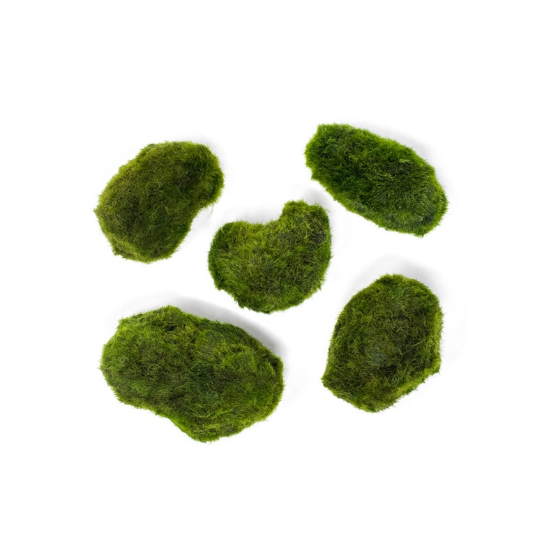 Marimo Moss Pieces (0.5-1.5")