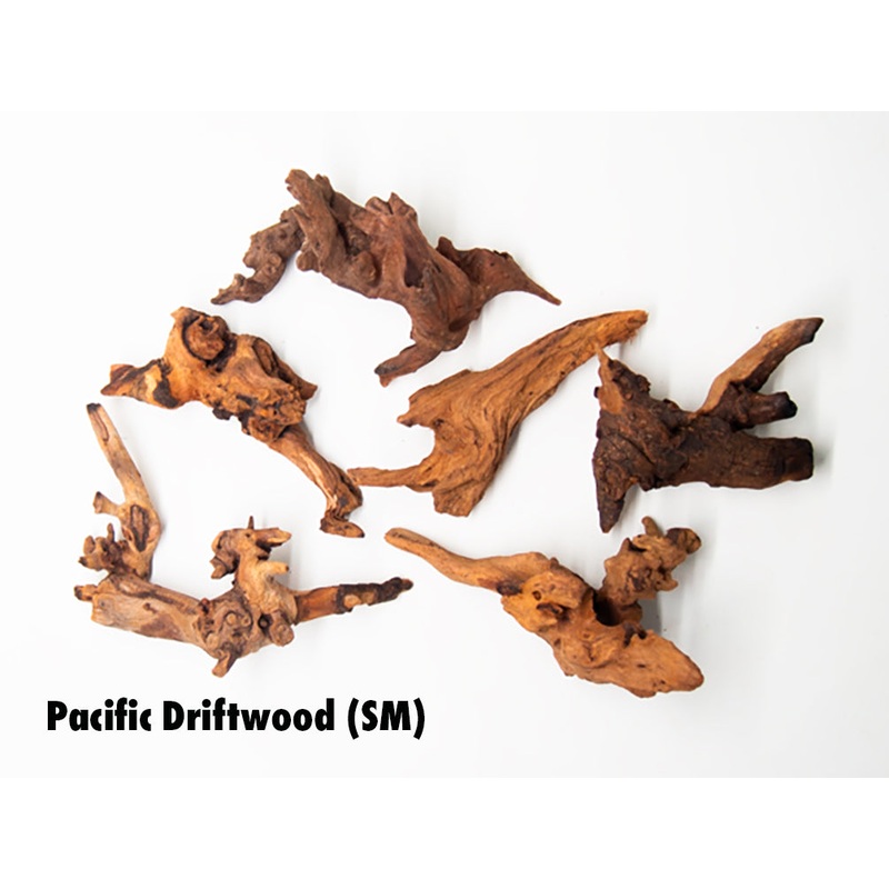 Pacific Driftwood (Dry)