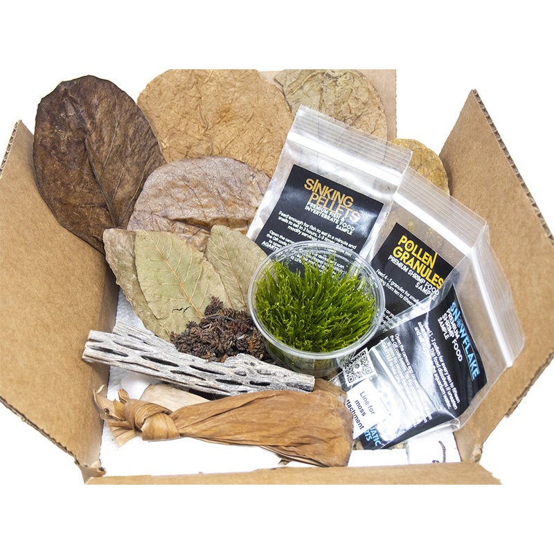 Bred By Aquatic Arts Neocaridina Shrimp Combo Box (Neocaridina davidi)