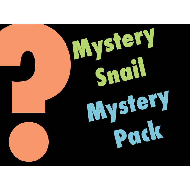 Mystery Snail Mystery Pack