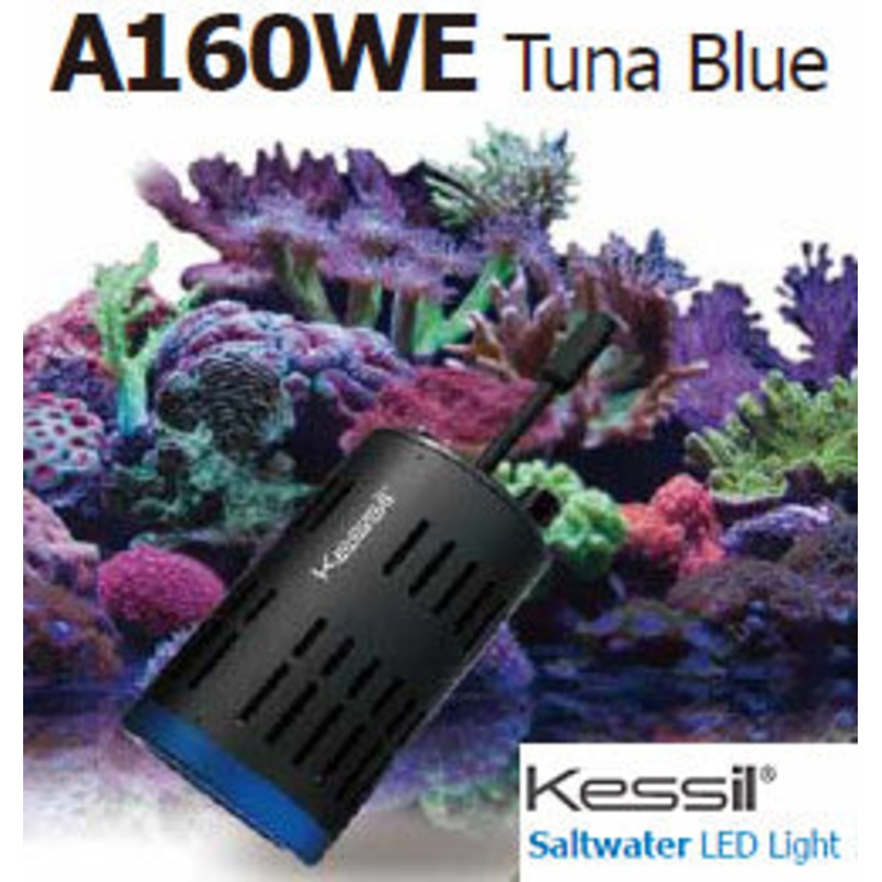 Kessil a160we Tuna Blue Controllable