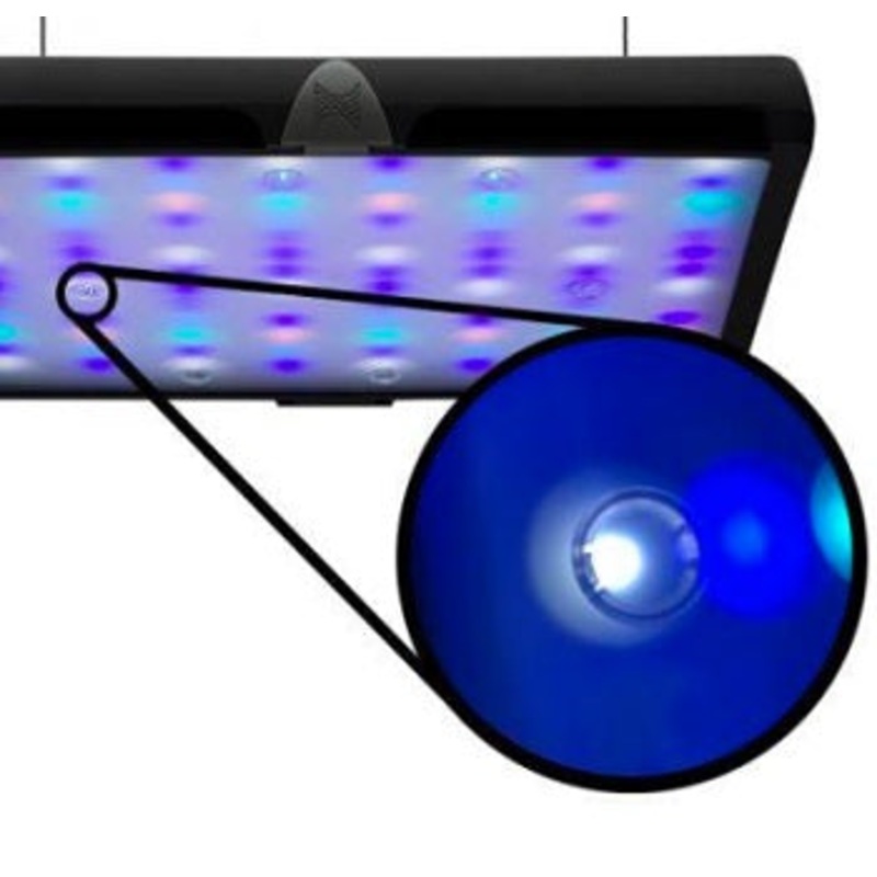 Neptune Sky Diffused Shimz - Diffuser (4 pack)