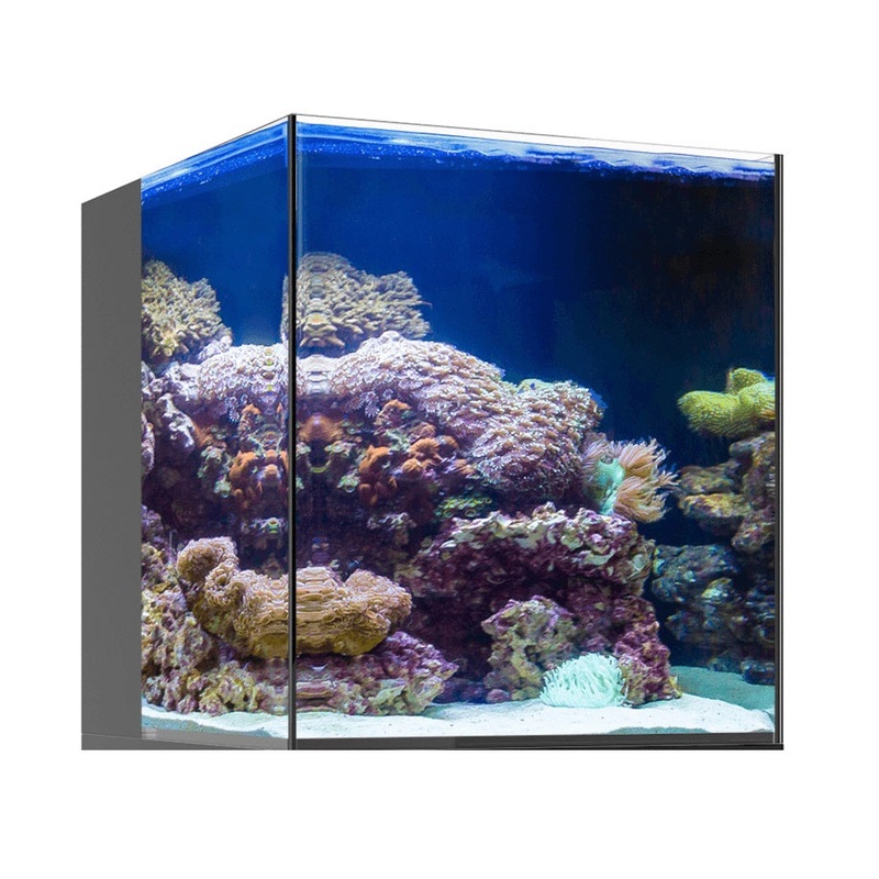 JBJ Nano RL AIO Rimless Aquarium - 20 Gallon