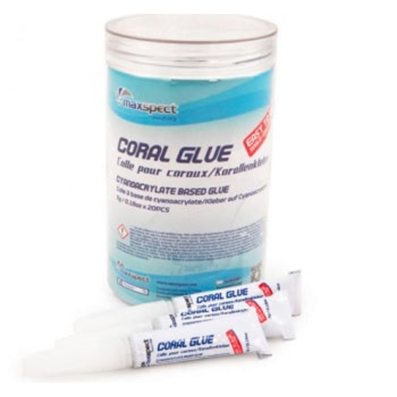 Maxspect Coral Frag Glue 5g Jar (20pcs)