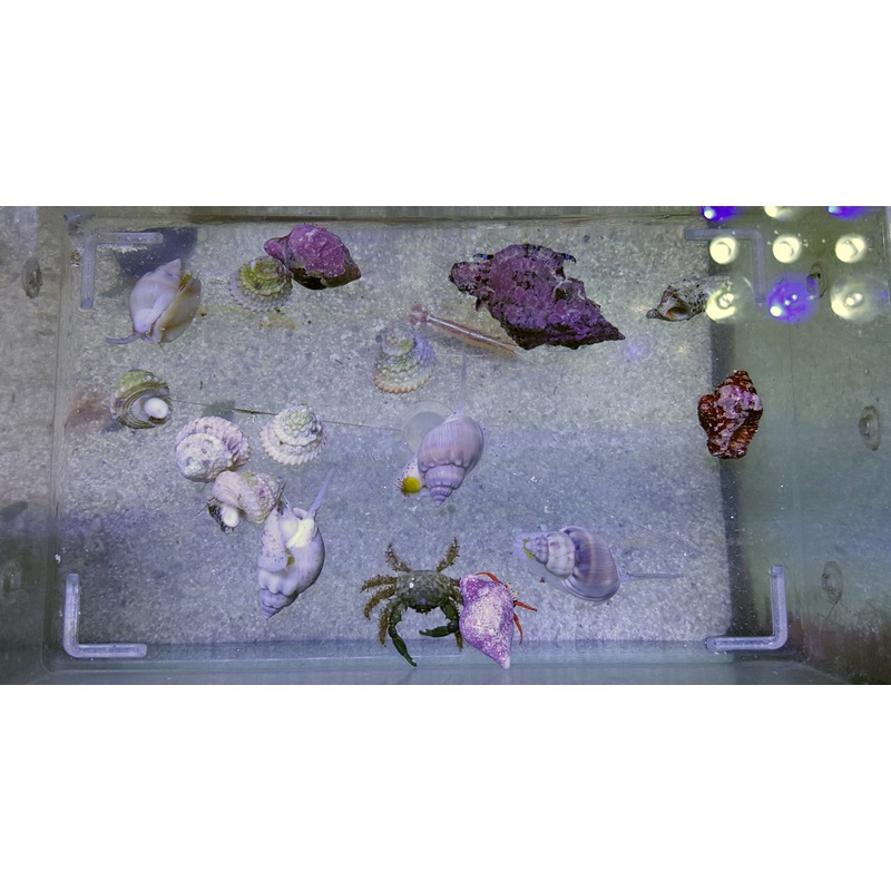 15 Gallon Package