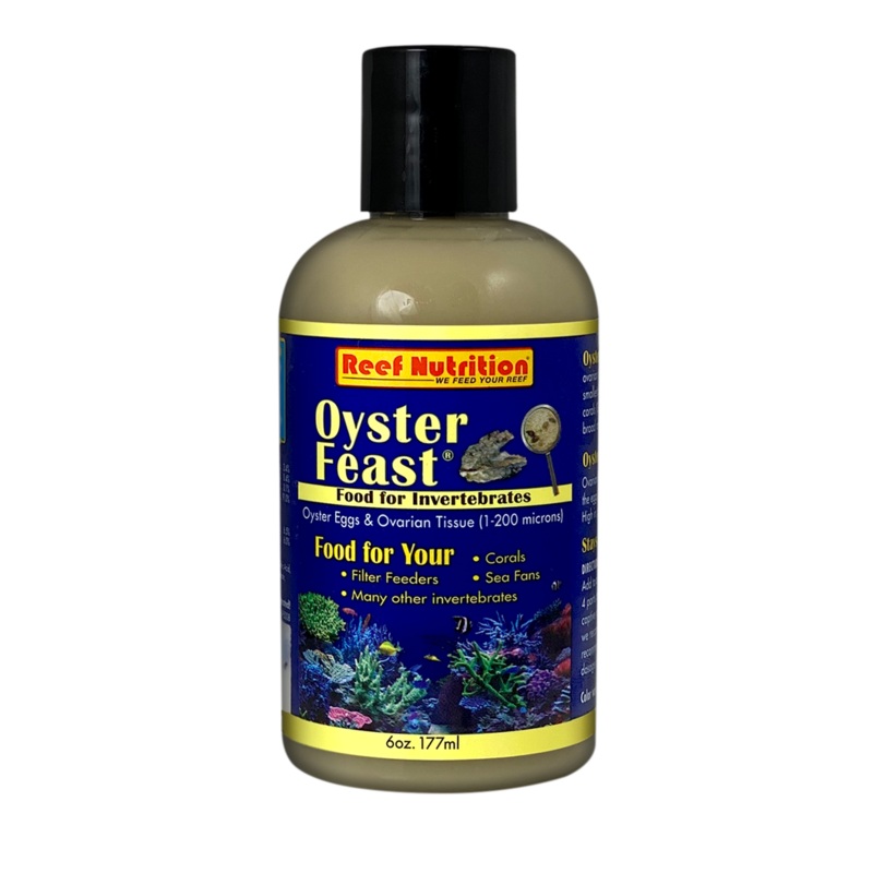 Oyster-Feast